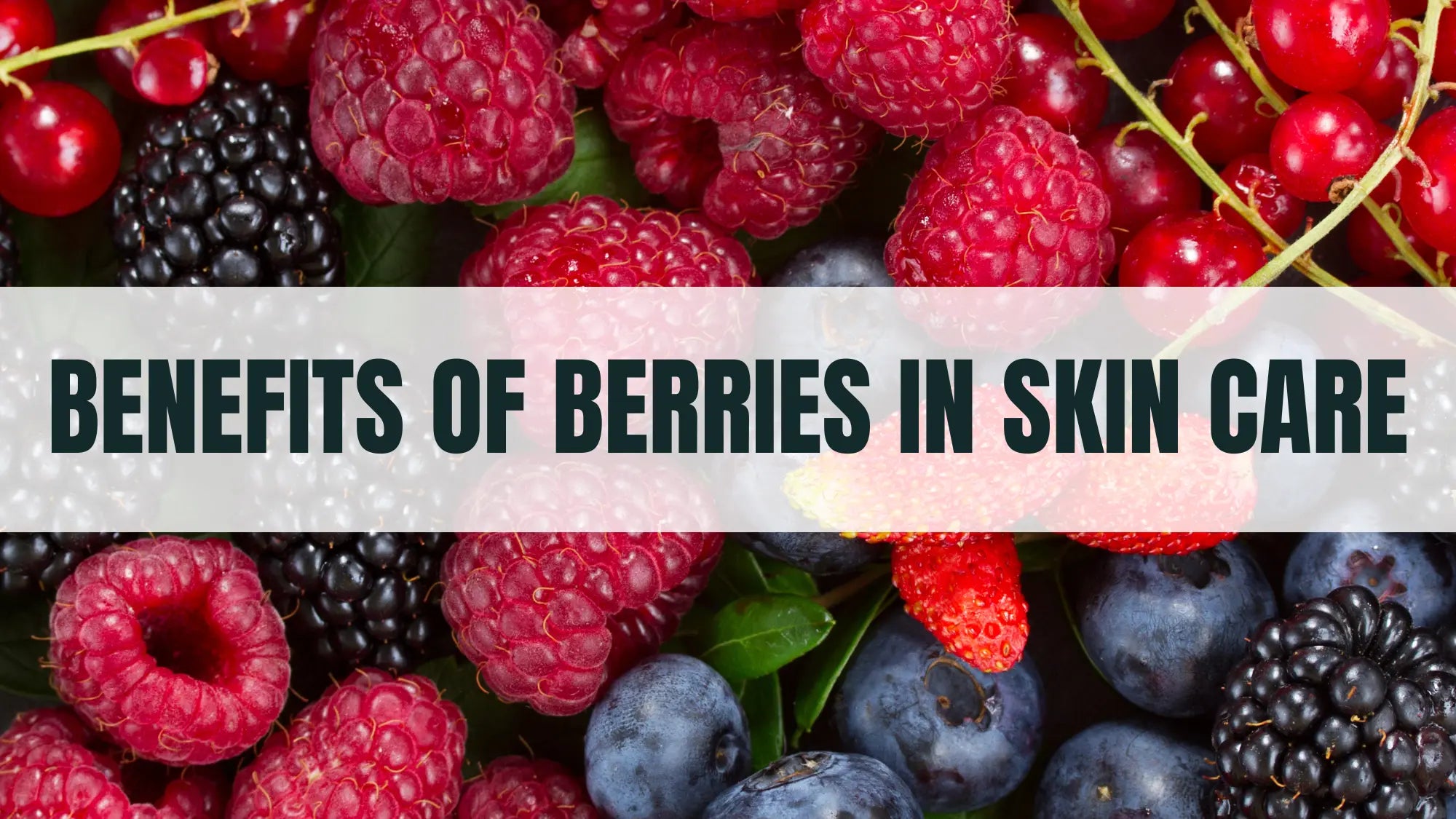 benefits of berries in skin care products