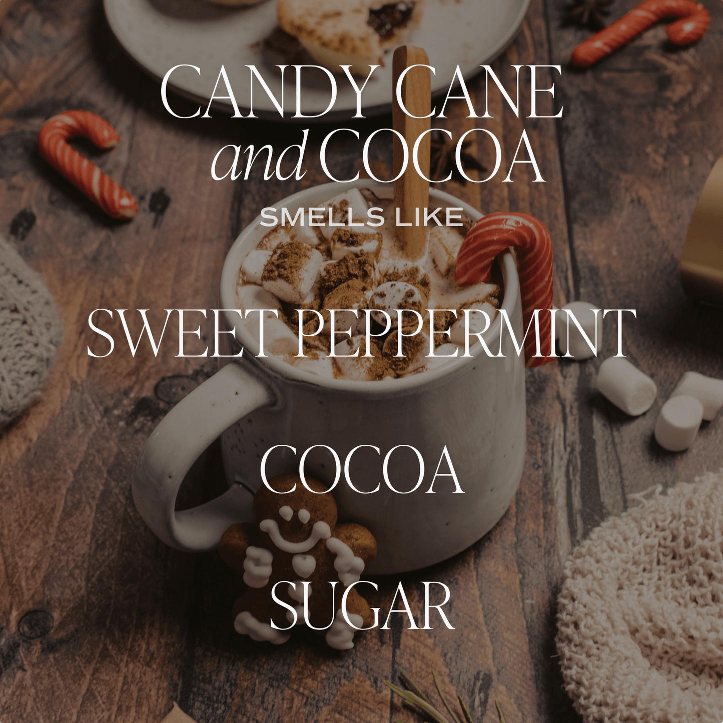 Candy Cane and Cocoa Soy Candle Sweet Water Decor