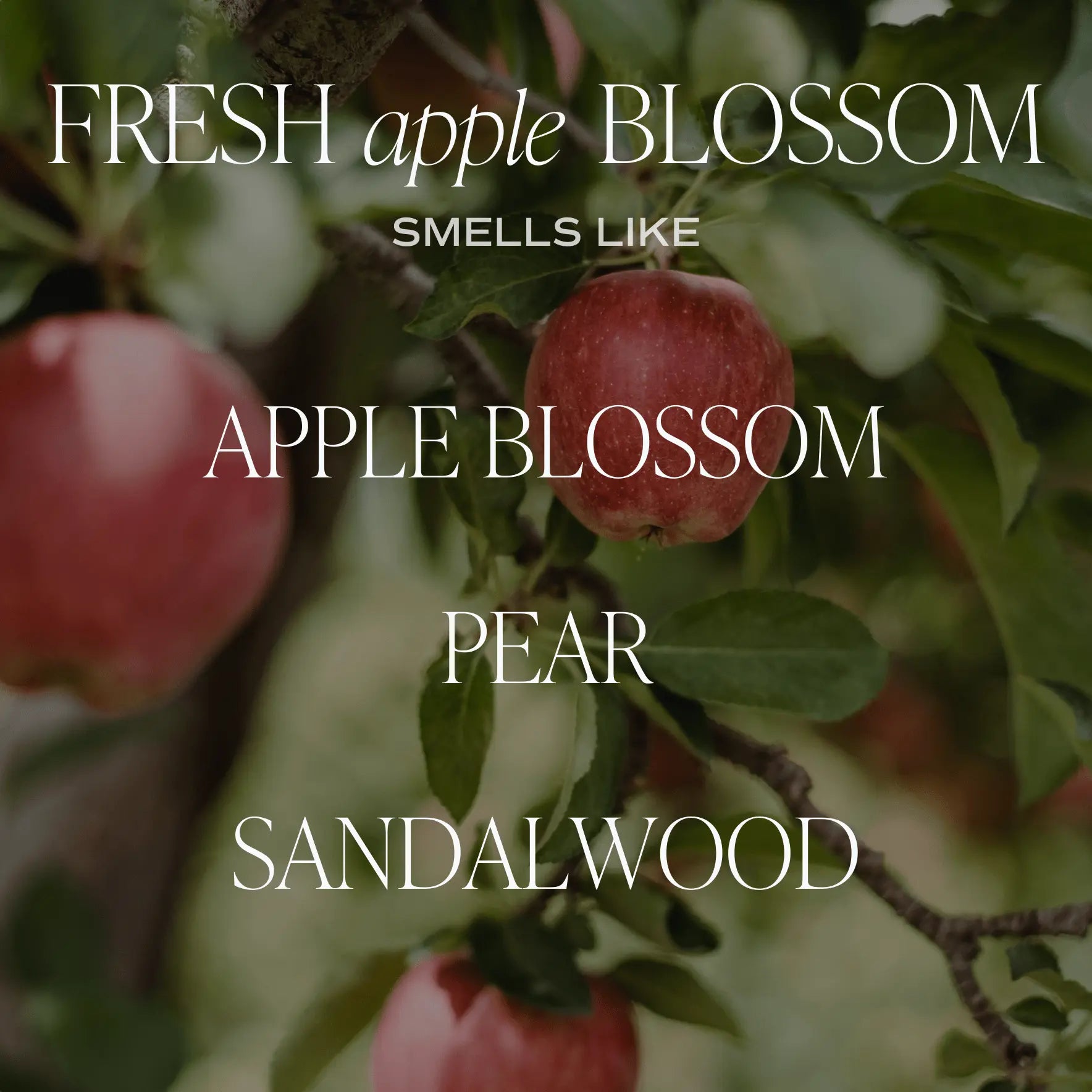 Fresh Apple Blossom Soy Candle - Amber Jar - 9 oz Sweet Water Decor