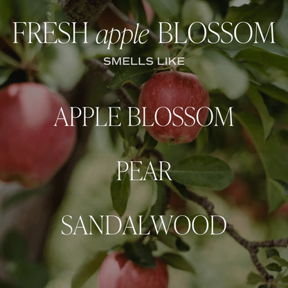 Fresh Apple Blossom Soy Candle - Amber Jar - 9 oz Sweet Water Decor