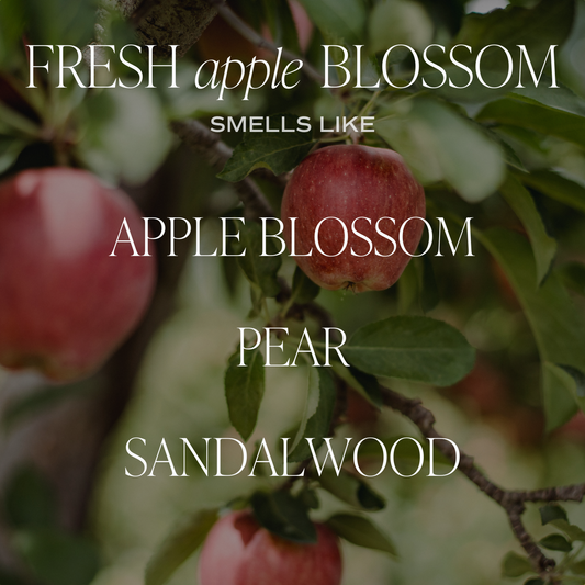 Fresh Apple Blossom Clear Reed Diffuser