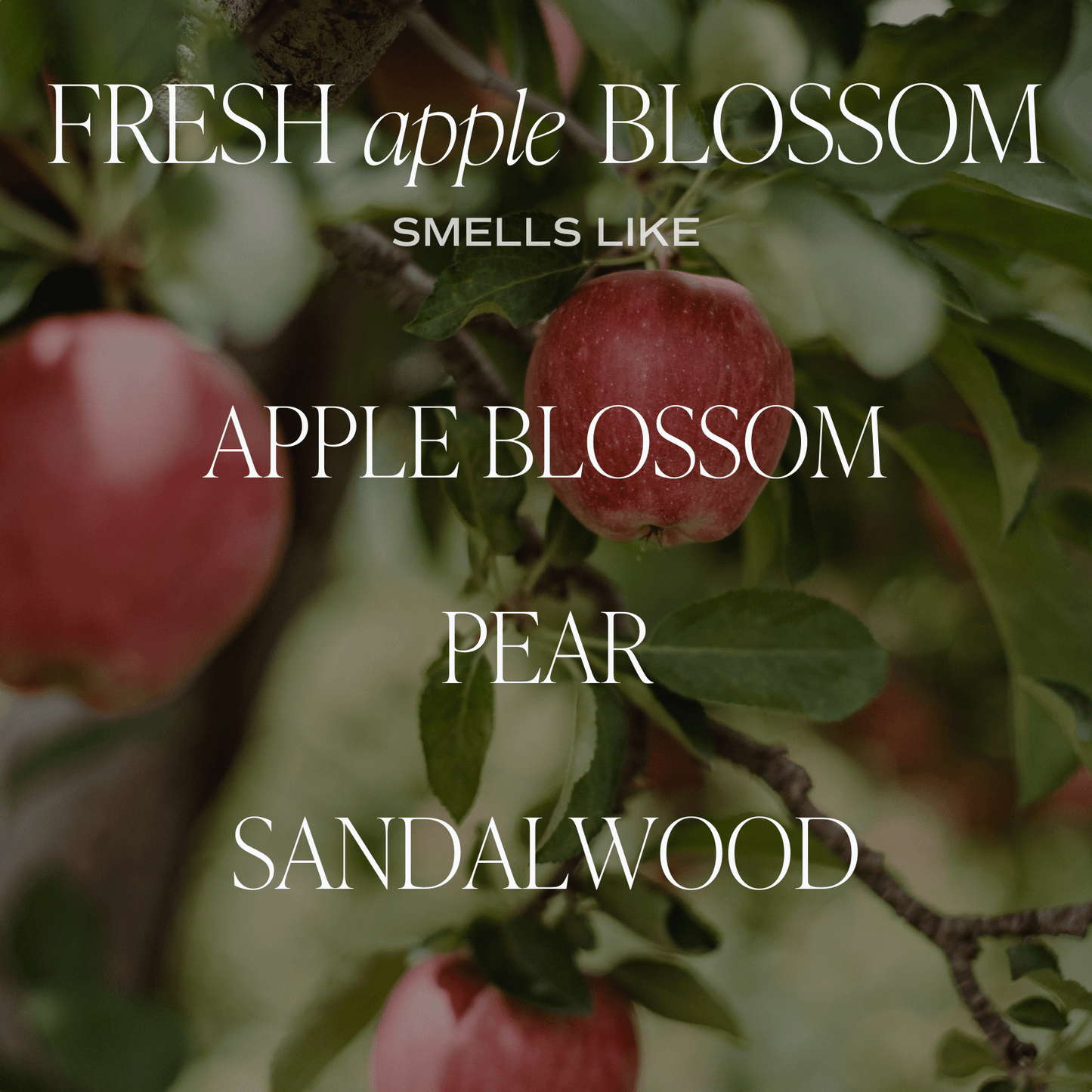 Fresh Apple Blossom Soy Candle - Clear Jar - 9 oz Sweet Water Decor