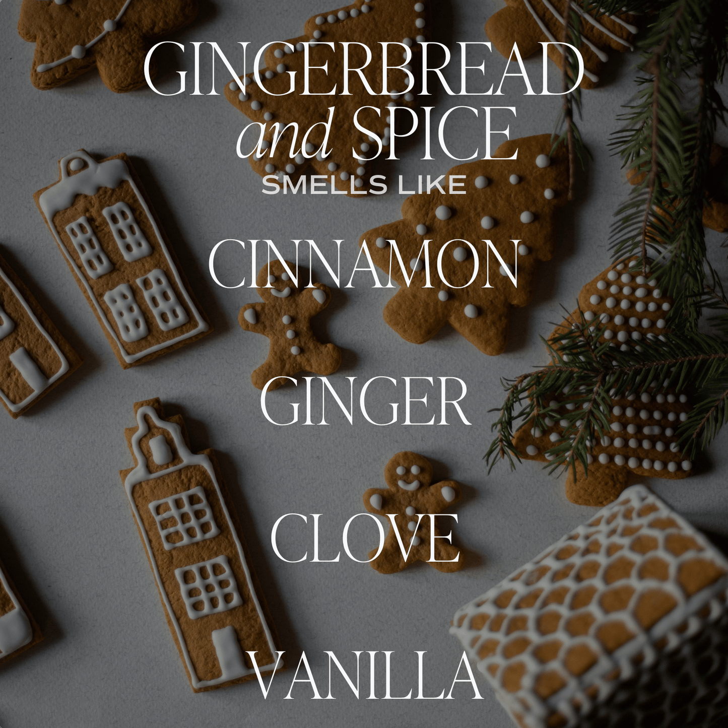 Gingerbread and Spice Soy Candle - Amber Jar - 9 oz Sweet Water Decor