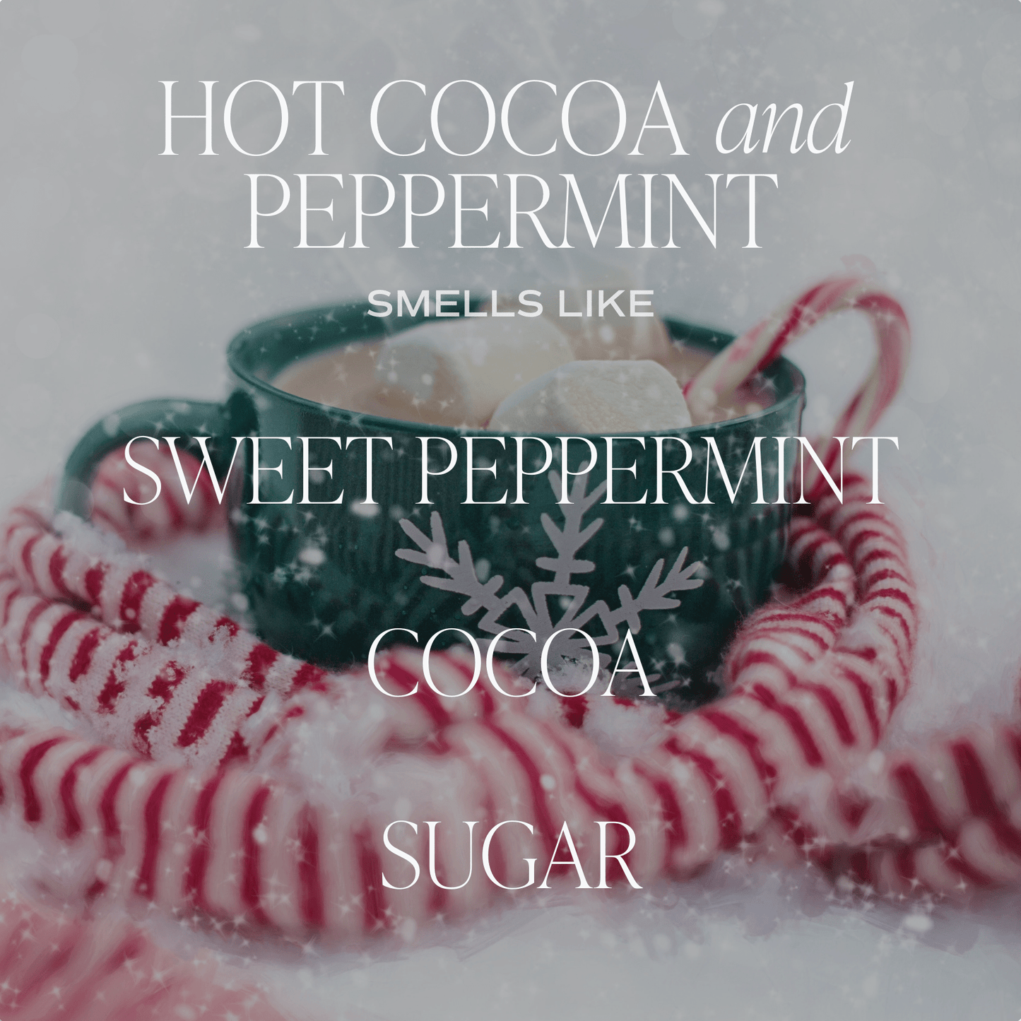 Hot Cocoa and Peppermint Soy Candle - Amber Jar - 9 oz - cleansefaceandbodybar