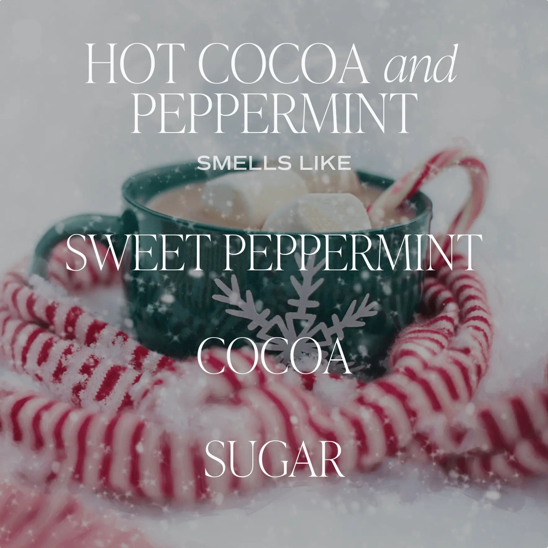 Hot Cocoa and Peppermint Soy Candle - Clear Jar - 9 oz - cleansefaceandbodybar