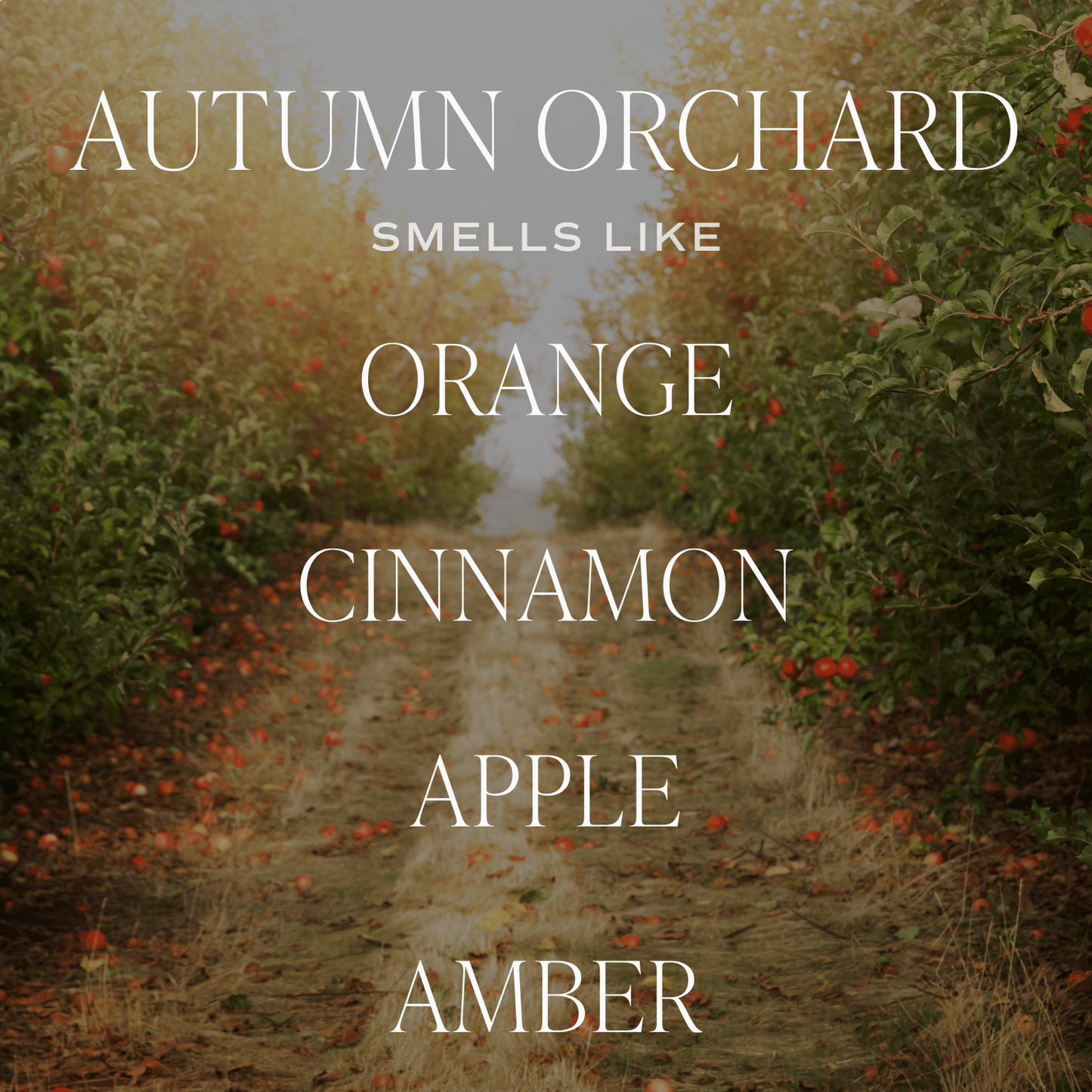 Autumn Orchard Soy Candle