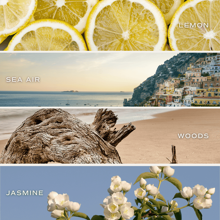 Coastal Lemon Soy Candle - Tinted Glass Jar - 12 oz Sweet Water Decor Cleanse Face & Body Bar