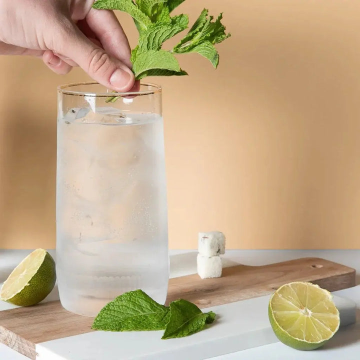 MOJITO | MIXOLOGY CUBE Teaspressa Cleanse Face &amp; Body Bar