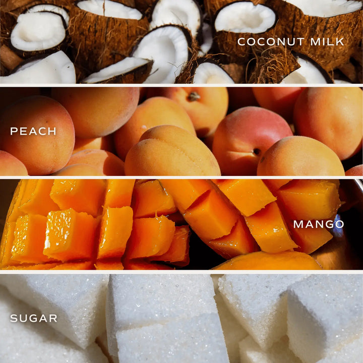 Mango and Coconut Soy Candle - Tinted Glass Jar - 12 oz Sweet Water Decor Cleanse Face &amp; Body Bar