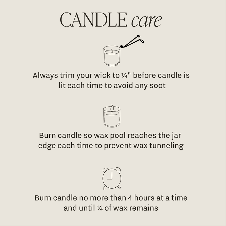 Mango and Coconut Soy Candle - Tinted Glass Jar - 12 oz Sweet Water Decor Cleanse Face &amp; Body Bar
