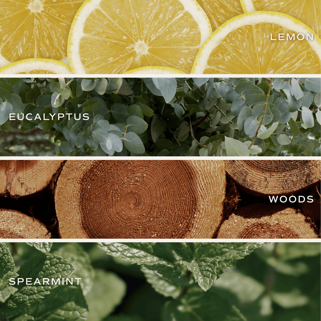 Stress Relief Soy Candle - Tinted Glass Jar - 12 oz Sweet Water Decor Cleanse Face & Body Bar