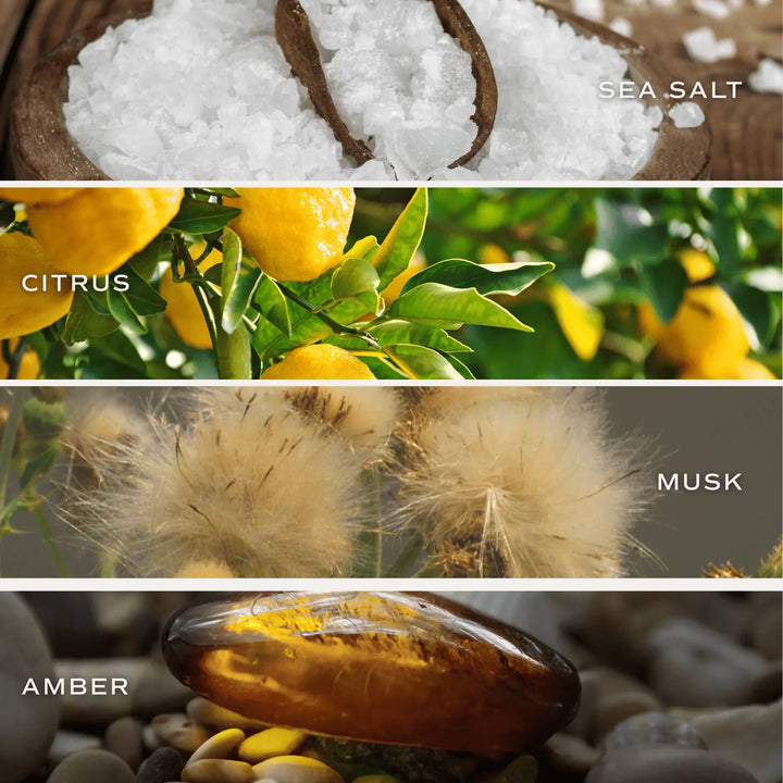 Salt and Sea Tinted Glass Jar Reed Diffuser Sweet Water Decor Cleanse Face & Body Bar