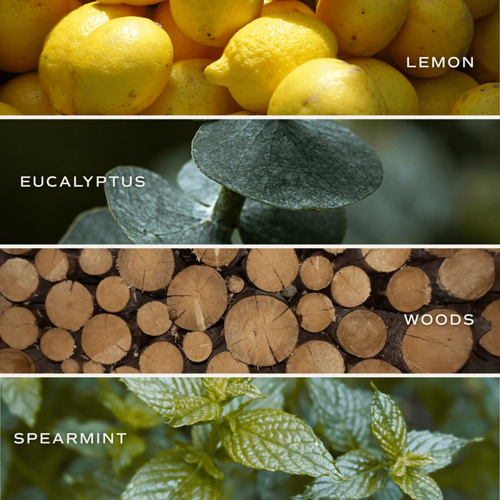 Stress Relief 4.6 oz Bath Bomb Sweet Water Decor Cleanse Face & Body Bar