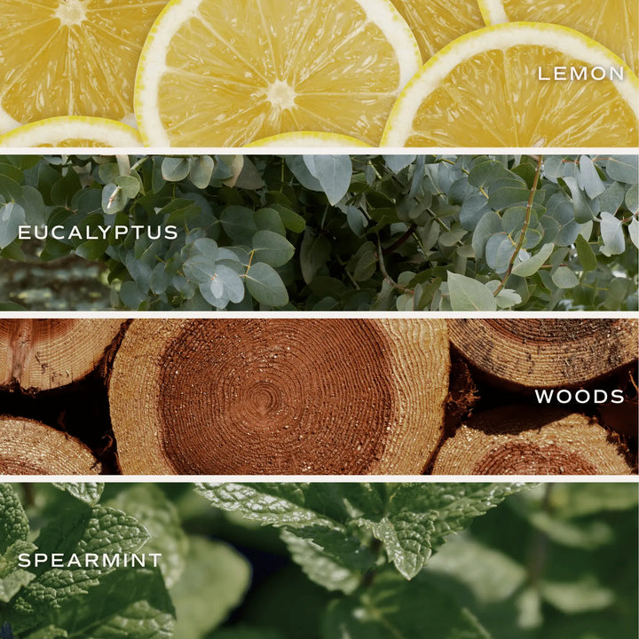 Stress Relief Soy Candle - Tinted Glass Jar - 12 oz Sweet Water Decor Cleanse Face & Body Bar